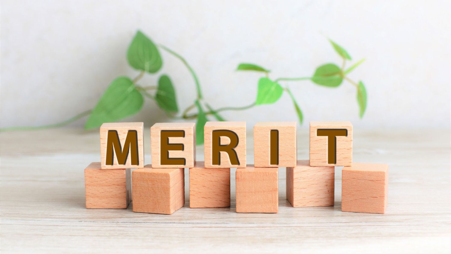 【断熱に最重要のサッシ】複合サッシの価格や性能、メリットとデメリットをご紹介